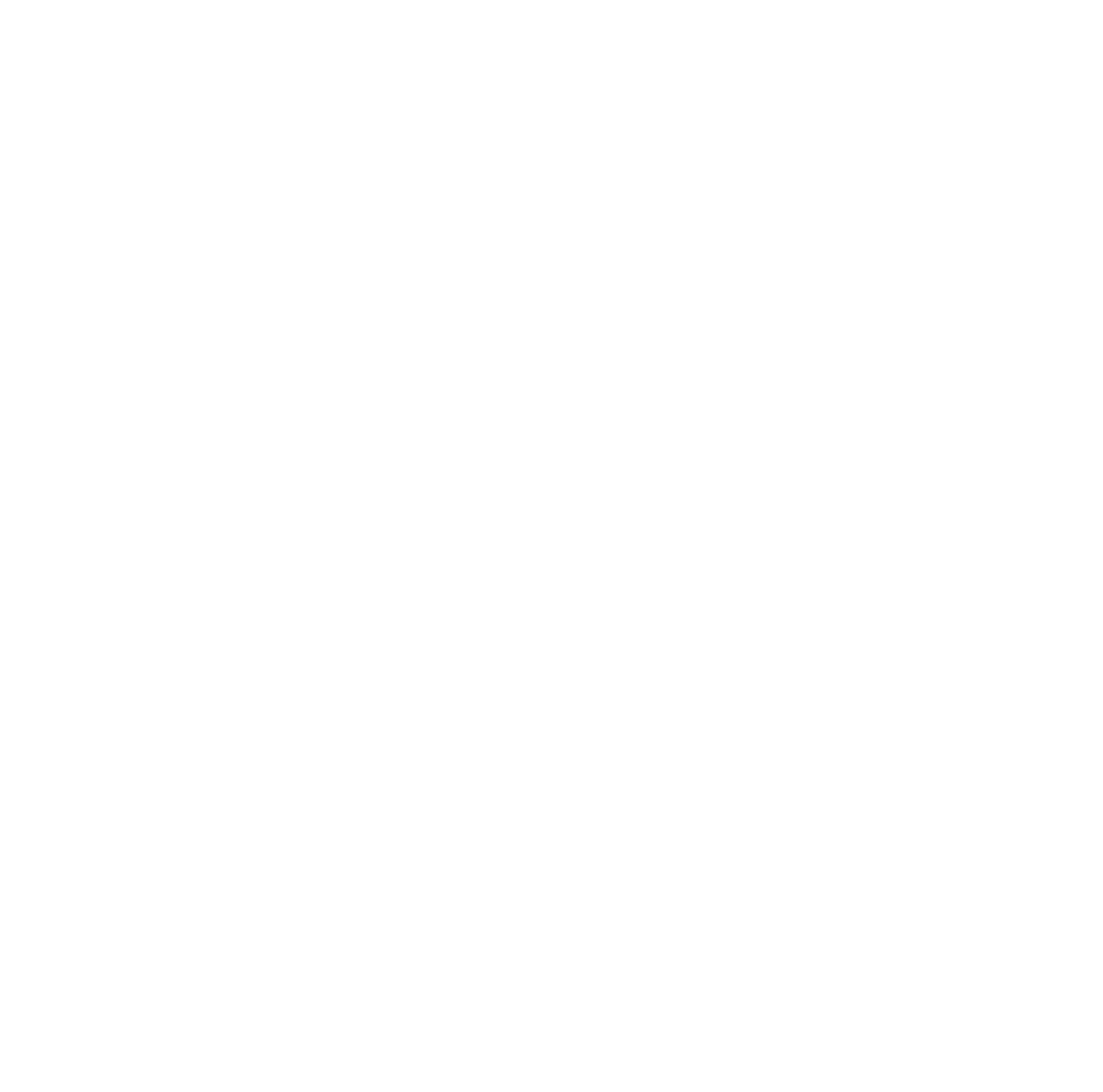 COCHABAMBA JIU JITSU + MMA